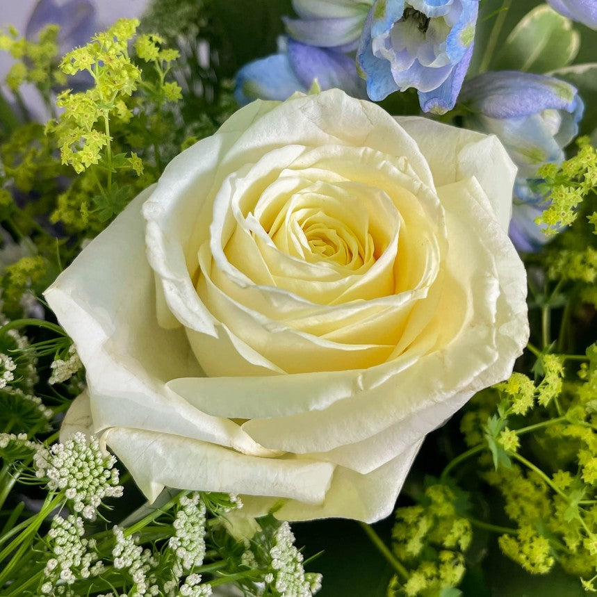 Ocean Breeze Hand-Tied