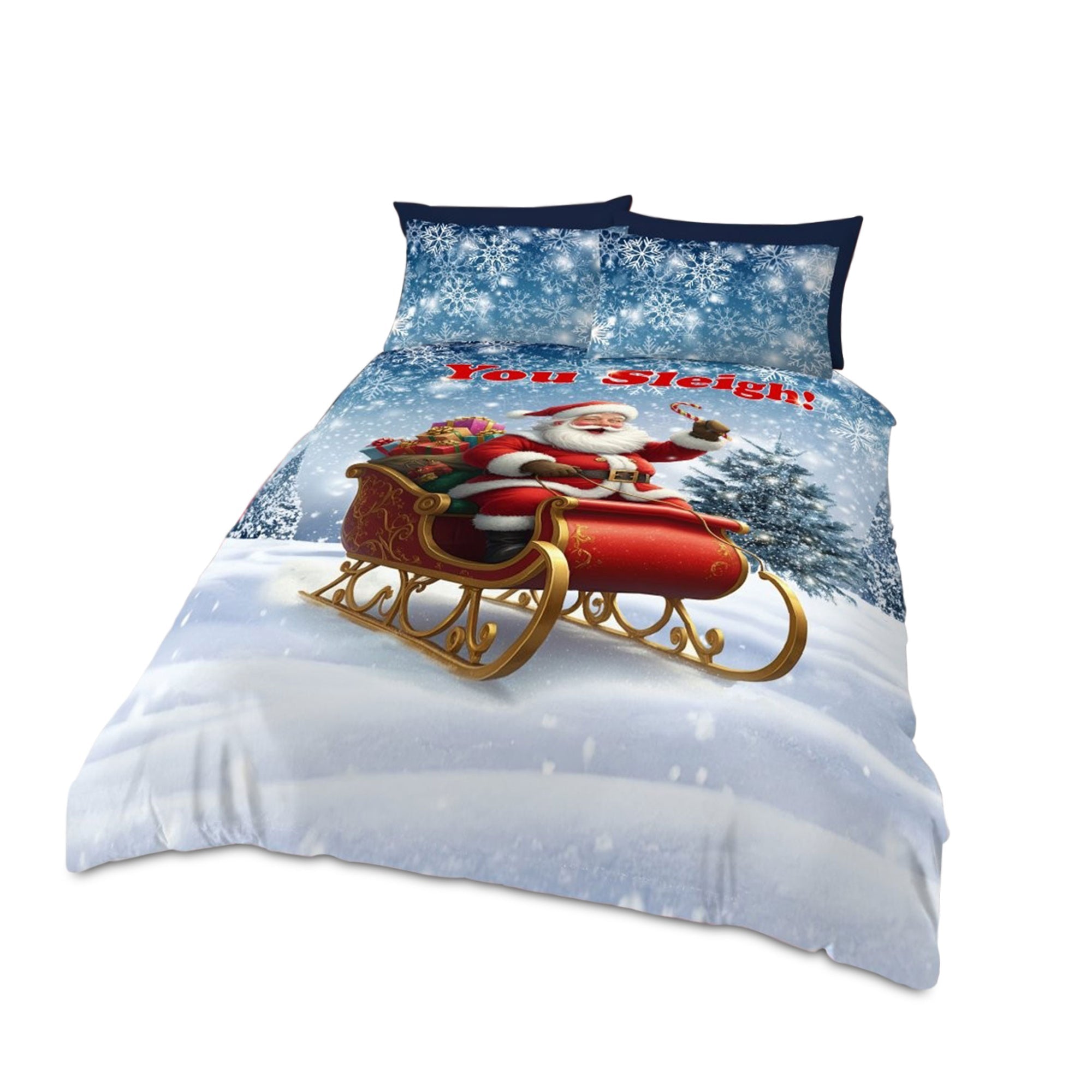 YOU SLEIGH