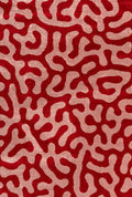Joli Doodle Red & Pink Rug