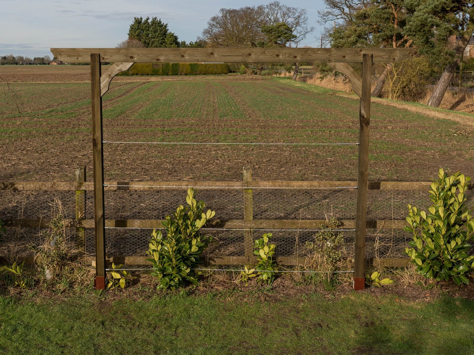 Screen Pergola, Plant Climbing Arbour - Corbel Sculpted Brace