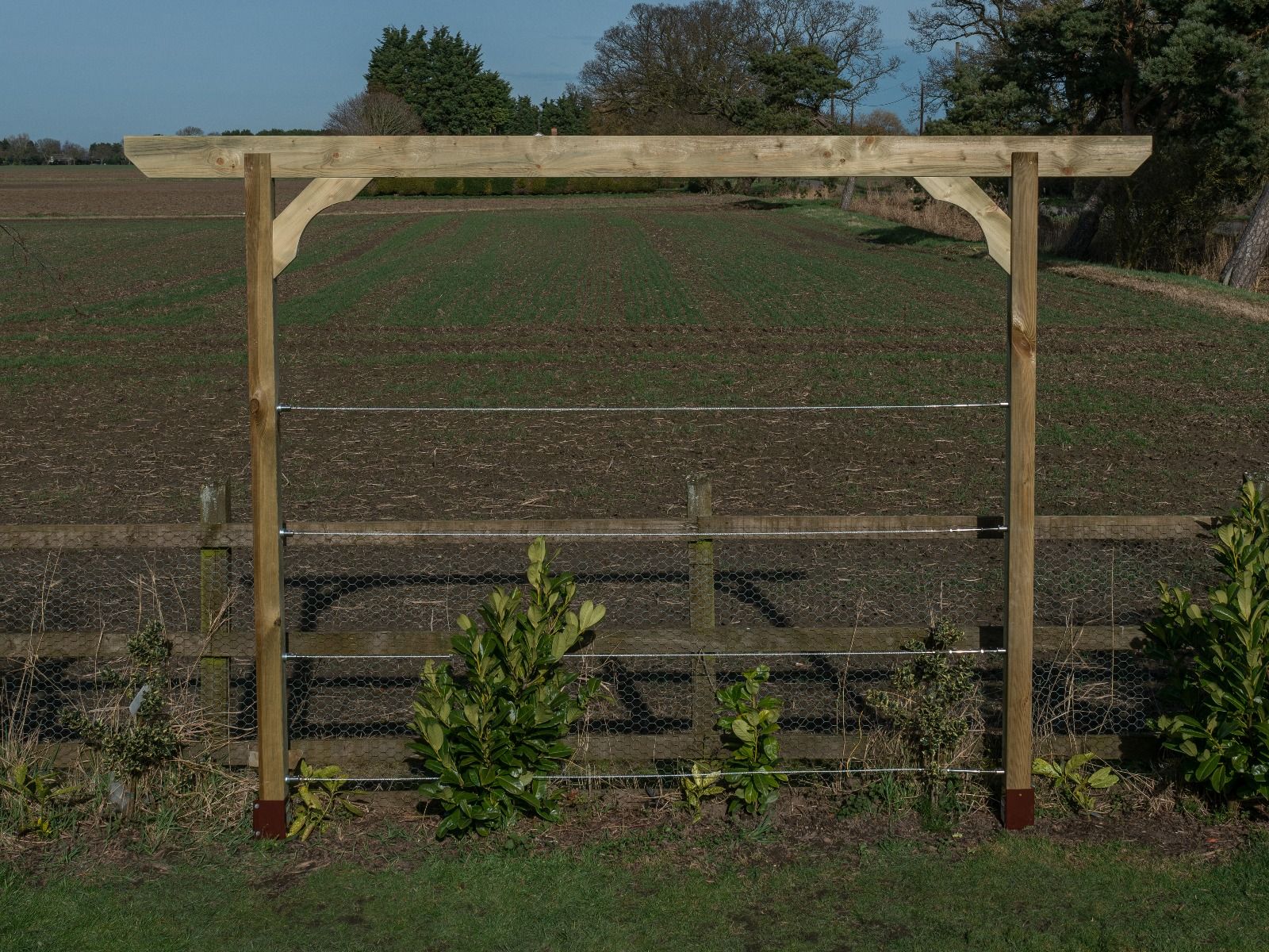 Screen Pergola, Plant Climbing Arbour - Chamfered Sculpted Brace