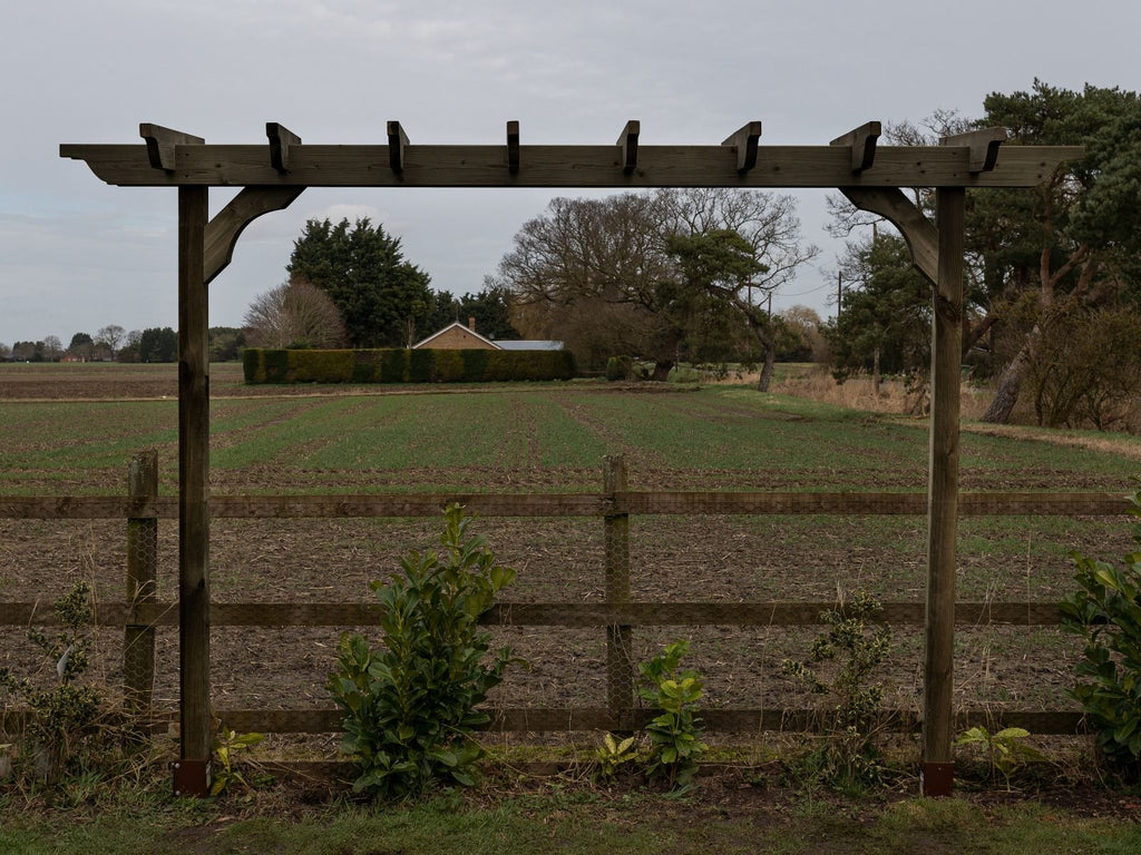 Sculpted Double Beam Pergola, Plant Climbing Arbour - Sculpted brace