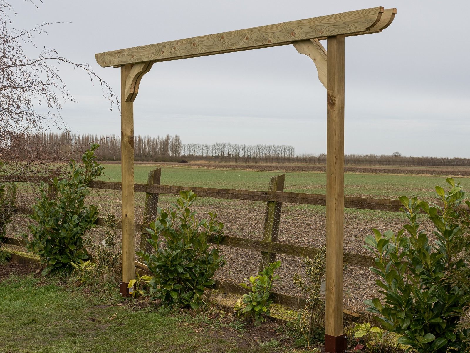 Screen Double Beam Pergola, Plant Climbing Arbour - Corbel Sculpted Brace